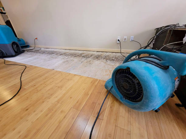 Professional Sewage Cleanup technician working in Kelso, WA
